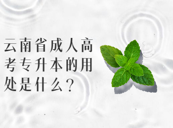 云南成考網 云南專升本的用處