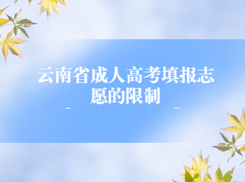 云南省成考填報(bào)志愿
