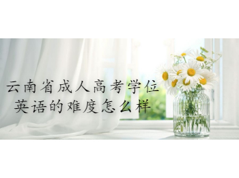 云南省成人高考學(xué)位英語
