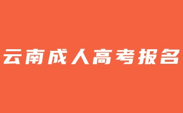 2024年參加云南高考還能報(bào)名成人高考嗎？
