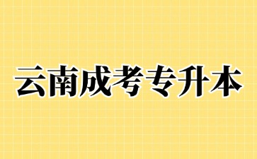 2024年云南省成人高考專升本有哪些優(yōu)勢?